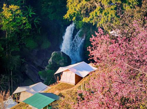 Doi Inthanon Waterfall Garden in Ban Sop Mae Klang