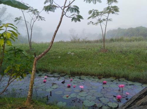 Baan Suan Jantra Home Stay in Chiang Rai