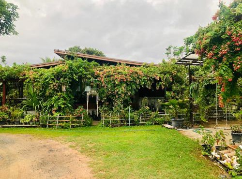 Baan Thung Home Stay in Prasat