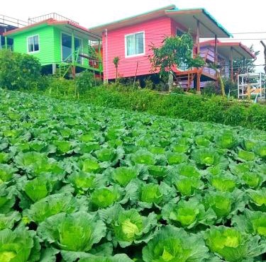 ไร่รุ่งอรุณ ภูทับเบิก in Ban Maeo Thap Boek